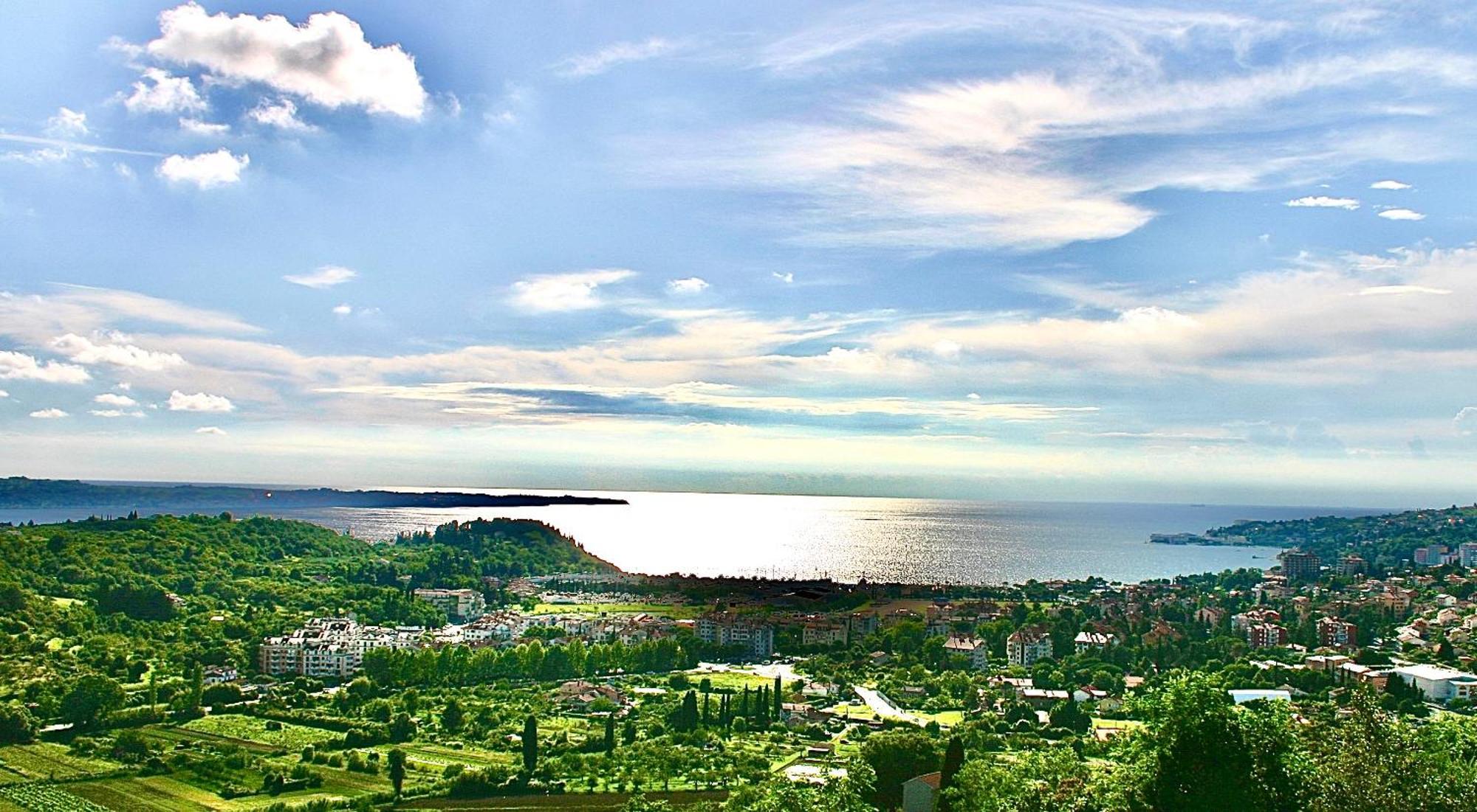 Sea View Olive Retreat Lägenhet Portorož Exteriör bild